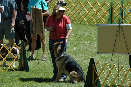 DSC_0107b